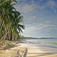 Sri Lanka Holidays